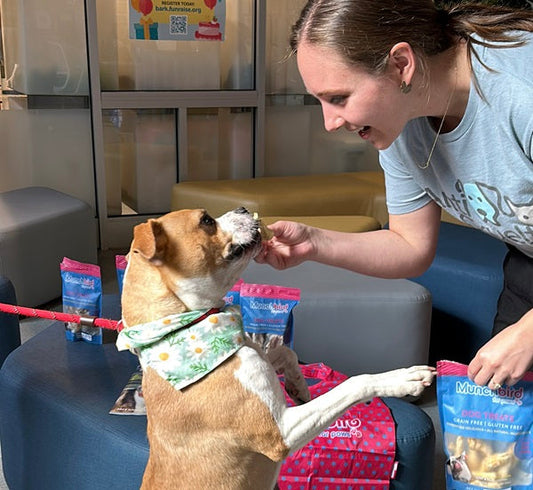 Anti-Cruelty’s Clear the Shelter Dog Adoption Event in Chicago