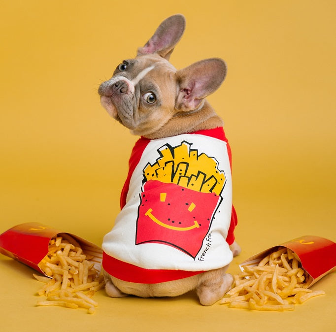 Can dogs have french fries 2025