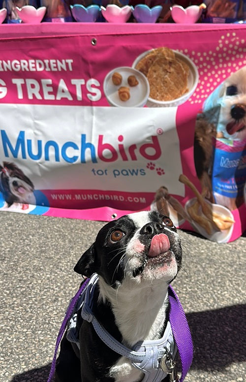 Pawsome Pups and Healthy Dog Treats at Chicago's Division Farmers