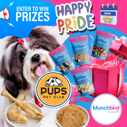 Celebrate Pride Day with Pups Pet Clubs: Join Our Doggie Outfit Contest and Win Munchbird Dog Treats!