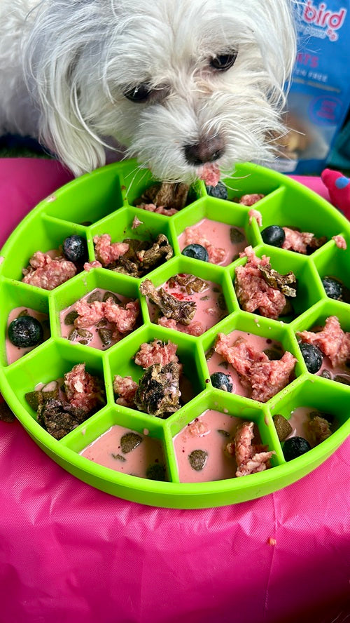 superfood complete dog food, Crafting Nutrient-Rich Raw Dog Food: Munchbird's Angus Beef Lungs & Goat Milk Recipe