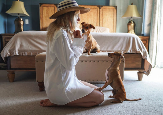 The Best Top Rated Puppy Products: Reviews and Recommendations