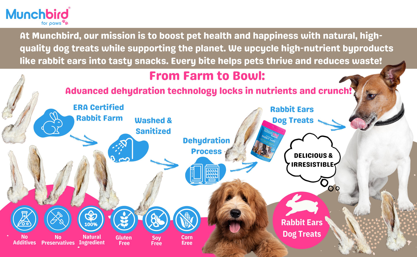 Rabbit Ear Dog Treats l Natural Treats, 3.5 oz Bag (12-15 counts)