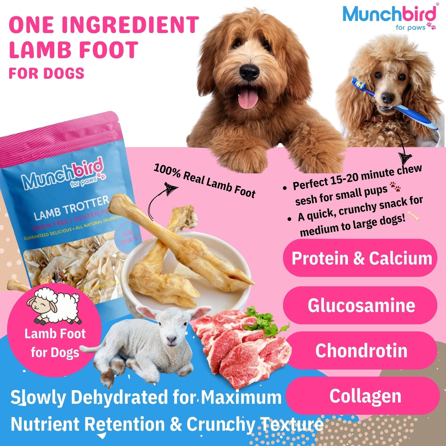 Munchbird Lamb Trotter Lamb Feet Dog Treats, alternative to turkey tendon for dogs and beef corium, small dog treats, Hypoallergenic Dog Bones Chews