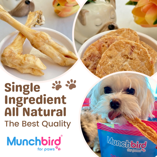 Best Limited Ingredient Dog Food: Munchbird's Unique Protein Offerings