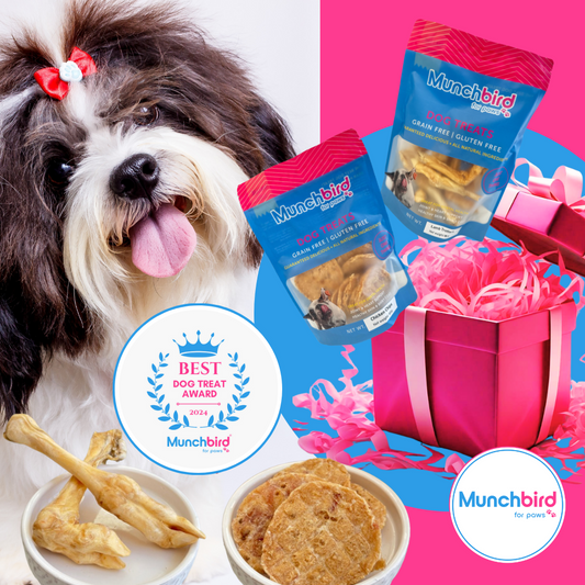 Best Dog Food for Allergies: A Comprehensive Guide