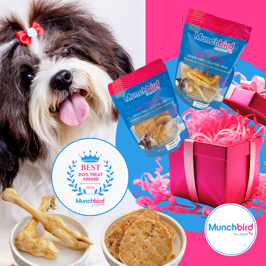 3 Ingredient Dog Treats: Simple Recipes for Your Furry Friend