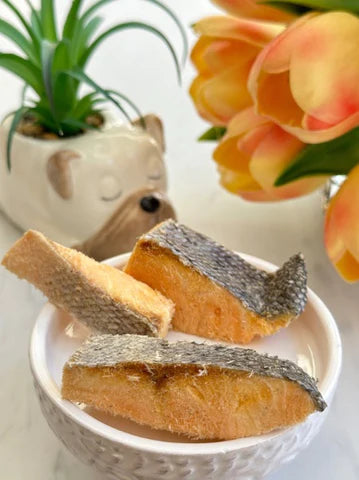 Freeze Dried Salmon Dog Treats by Munchbird