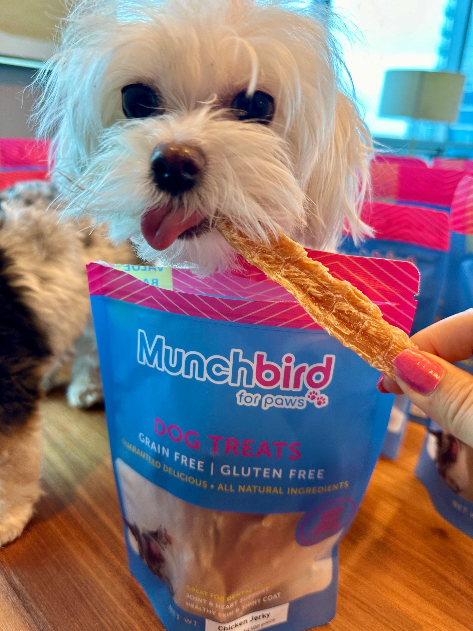 golden rewards jerky treats for dogs