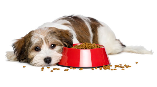 Lean Treats for Dogs