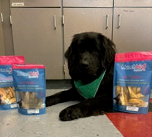Munchbird Bark-to-Share: Donation to The Teau Paws, a Therapy Dog Club, at Moniteau High School, Pennsylvania