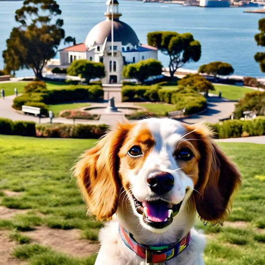 Top 20 Pet-Friendly Hotels in San Diego, Pet Fees? 