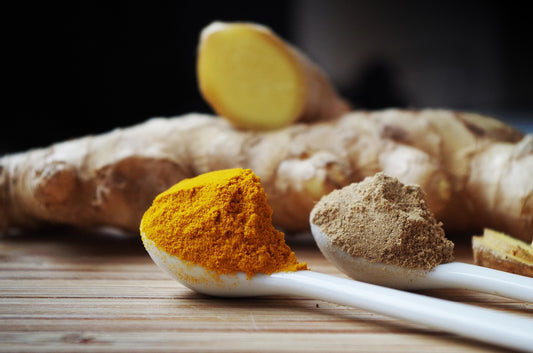 Is Ginger Good for Dogs