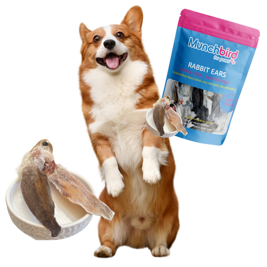 How to Express Dog Anal Glands Naturally? Try Munchbird Rabbit Ears with Fur, Natural Source of Fiber for Dogs, Natural Dewormer