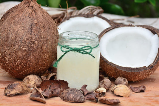 Is Coconut Oil Good for Dogs? by Munchbird