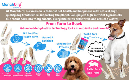 Dental Care Bundle: Lamb Trotter & Rabbit Ears Dog Treats