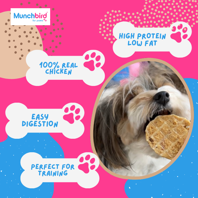 Organic Dog Biscuits, Chicken and Waffles dog treats, Munchbird Chicken Chips for Dogs, dehydrated chicken dog treats