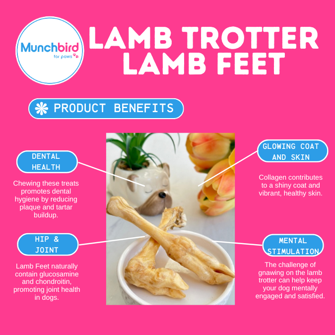 Munchbird Lamb Trotter Lamb Feet Dog Treats, alternative to turkey tendon for dogs and beef corium, small dog treats, Hypoallergenic Dog Bones Chews