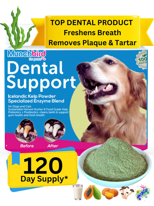 Dental Powder for Dogs & Cats, Natural Kelp & Enzyme Blend, Plaque & Tartar Control, Freshen Bad Breath
