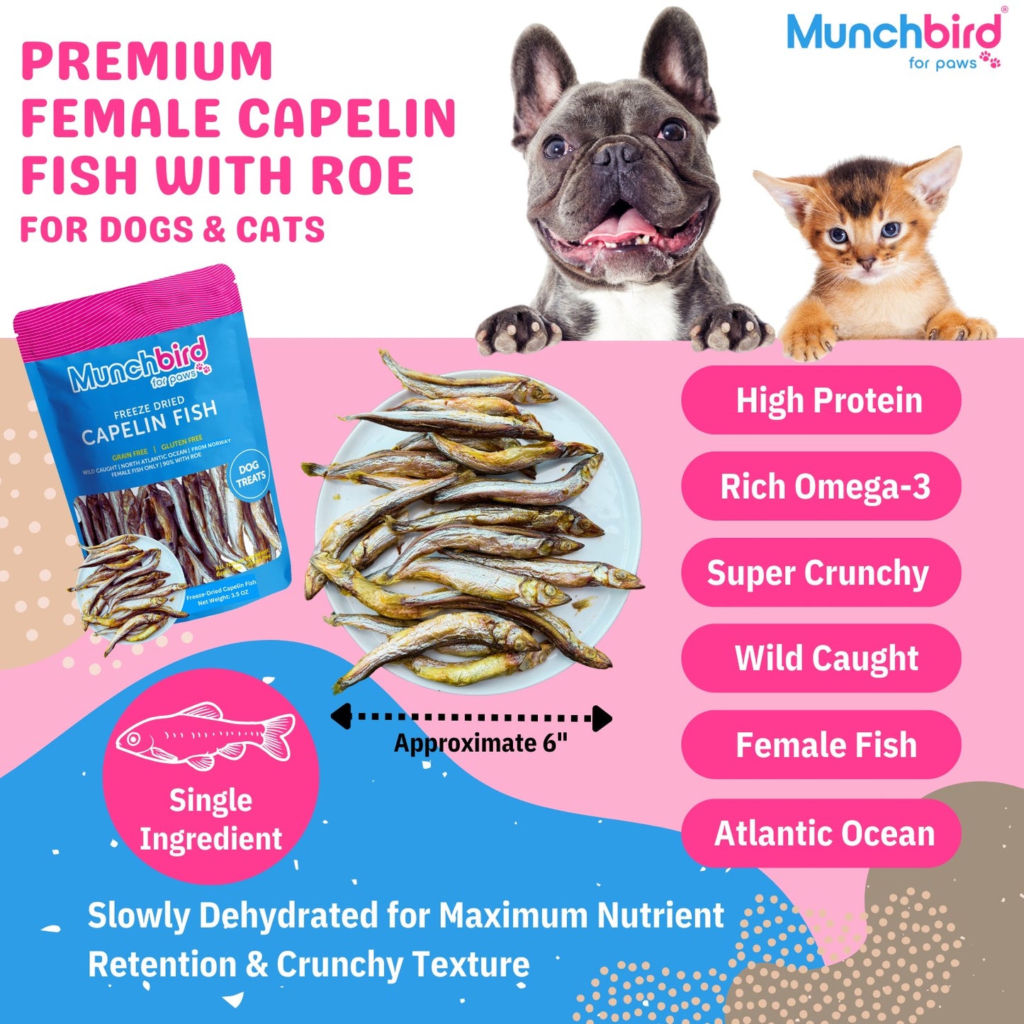 Wild-Caught Capelin Fish Dog and Cat Treats with Roe, Freeze Dried