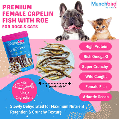 Wild-Caught Capelin Fish Dog and Cat Treats with Roe, Freeze Dried
