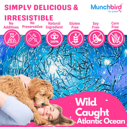 Wild-Caught Capelin Fish Dog and Cat Treats with Roe, Freeze Dried