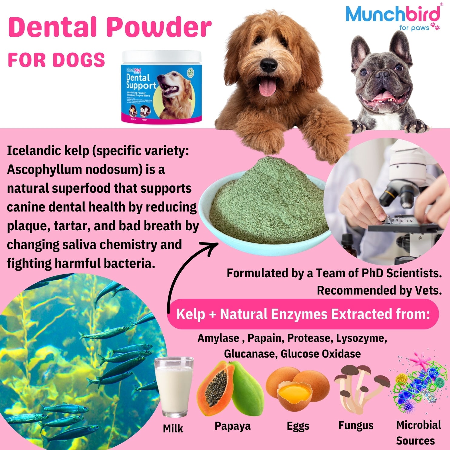 Dental Powder for Dogs & Cats, Natural Kelp & Enzyme Blend, Plaque