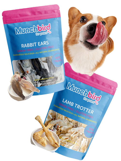 Value Pack Dog Food: Lamb Trotter & Rabbit Ears Dog Treats, Dental Treats Combo