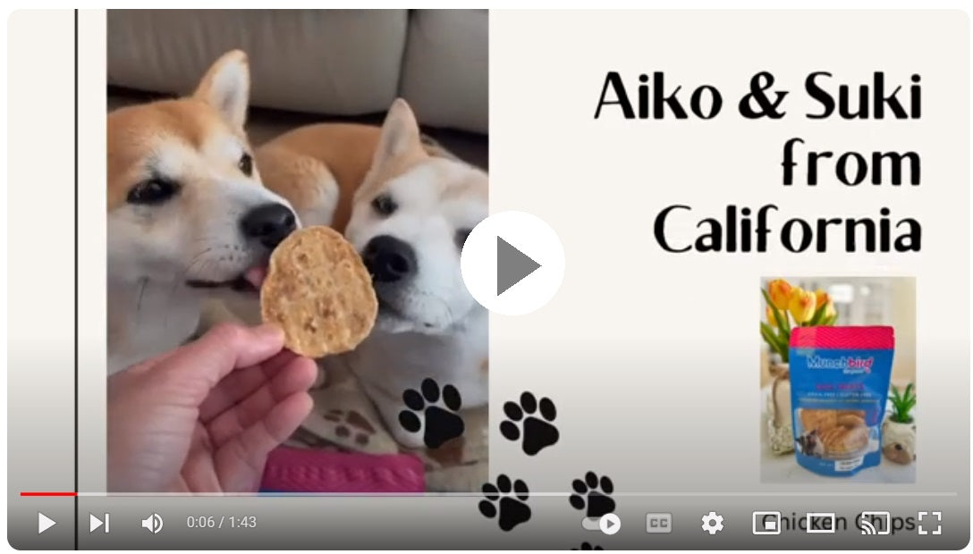 Load video: Watch as happy canine customers enjoy a variety of delicious dog treats from Munchbird. Dogs of different breeds and sizes enthusiastically munch on treats, wagging their tails with delight.