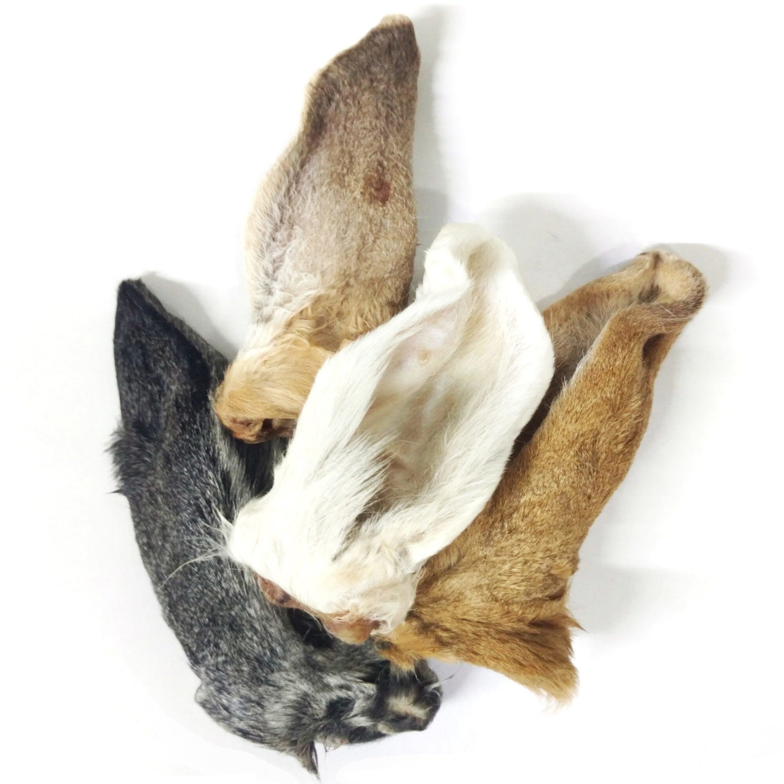 Munchbird l Healthy Dog Treats l All Natural l Best Prices